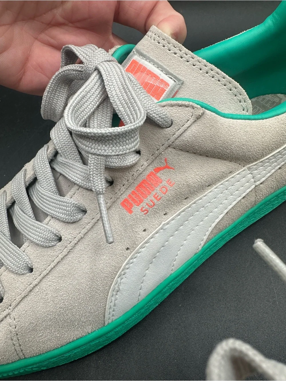 Puma very gently